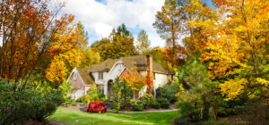 Blog 1 - Landscaping For Fall in La Crosse, WI